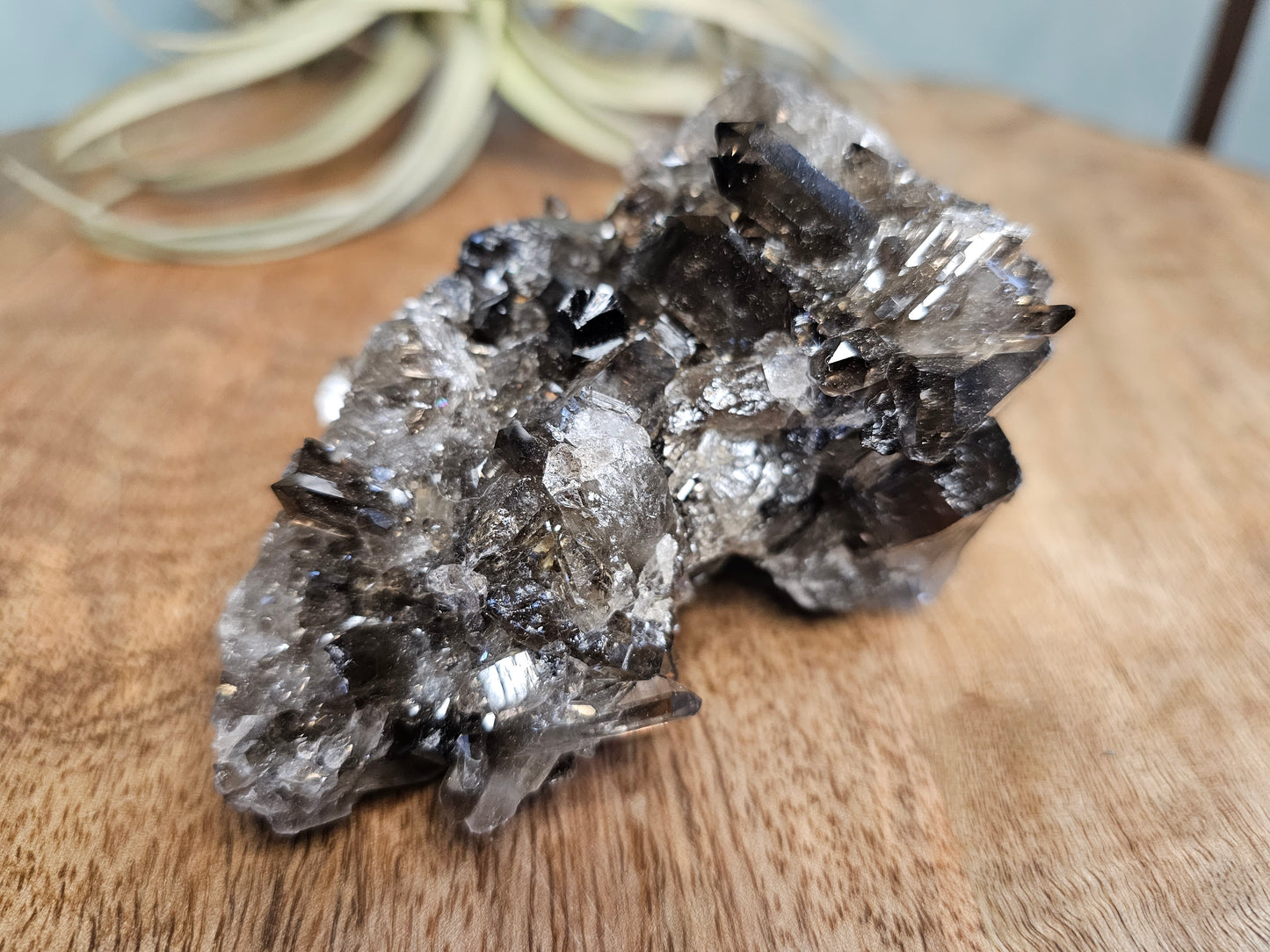 Smoky Quartz Cluster