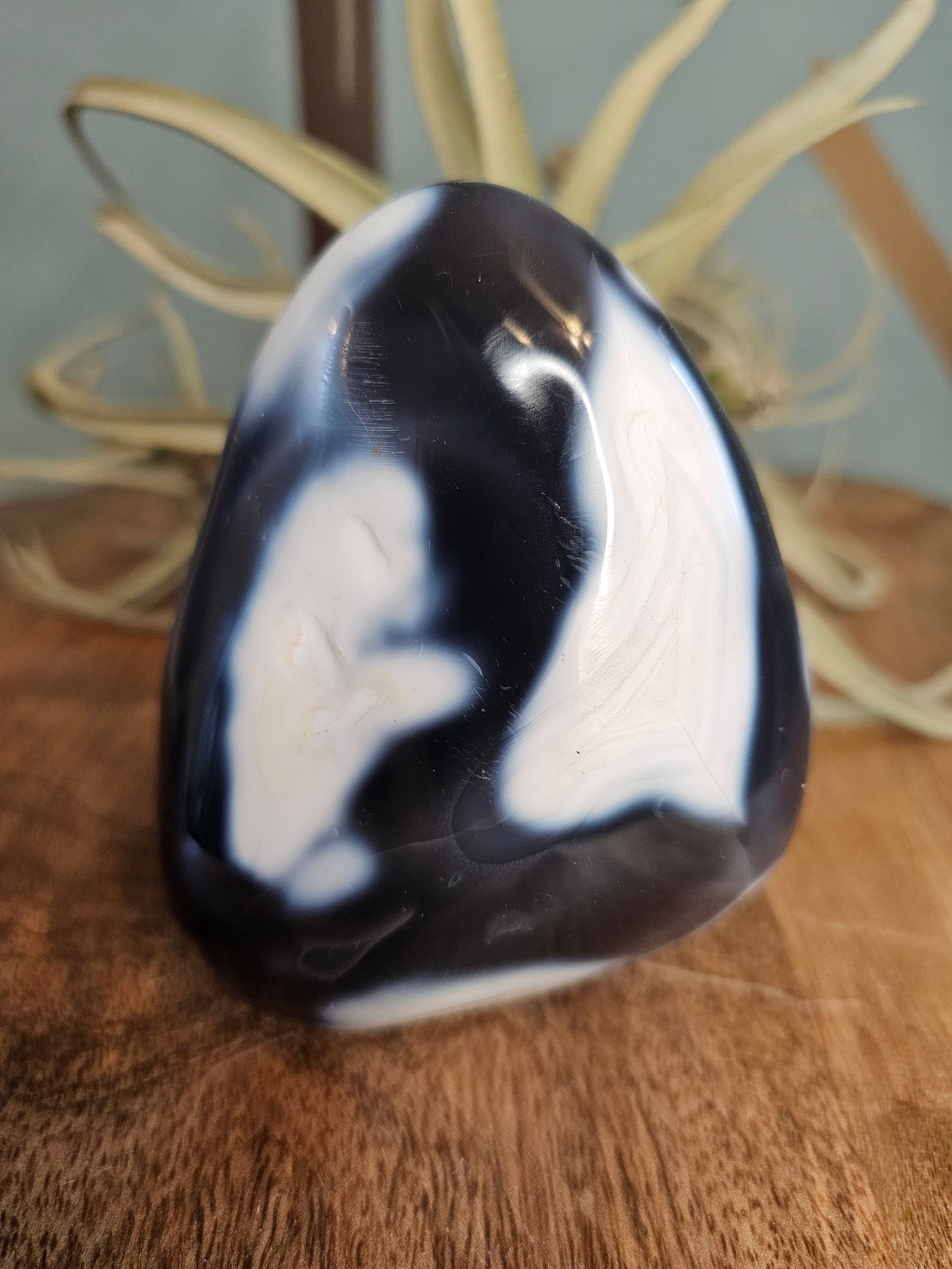 Orca Agate