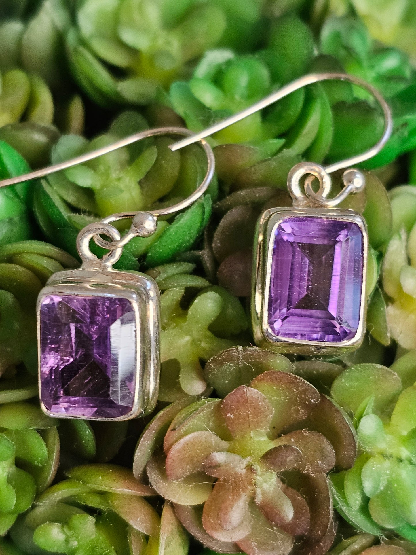 Amethyst Earrings