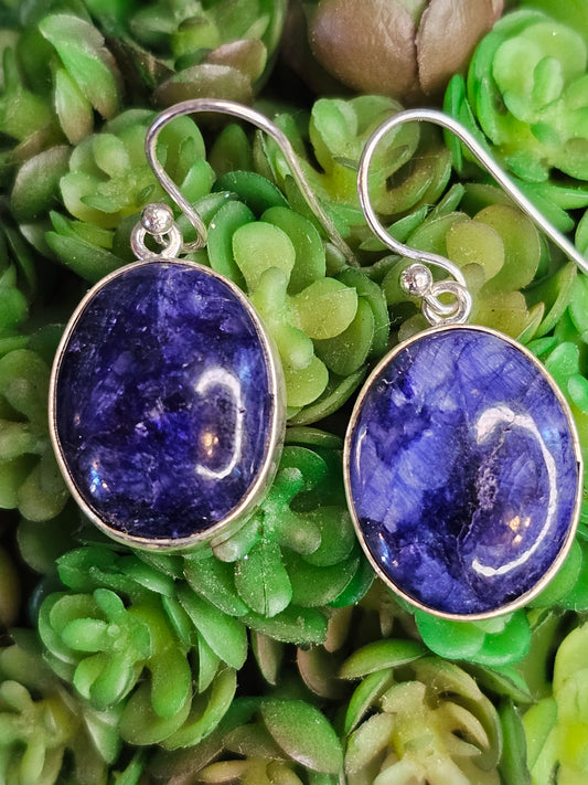 Blue Sapphire Earrings