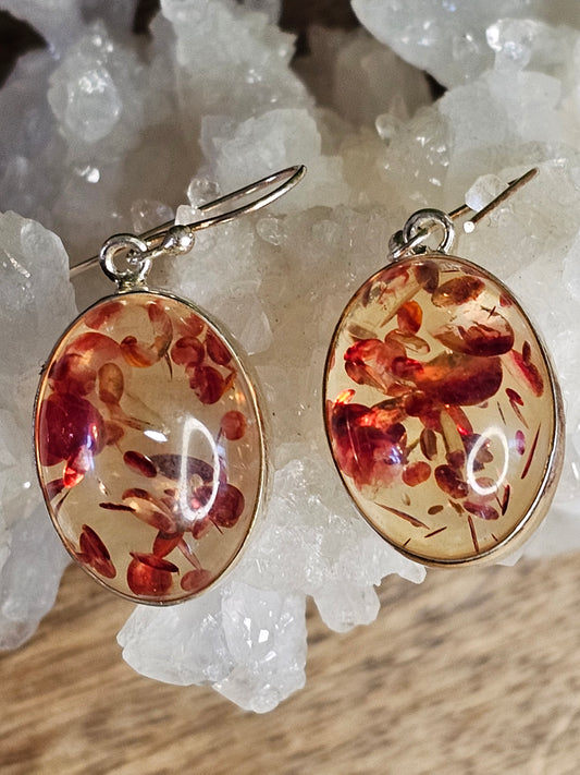 Amber Earrings