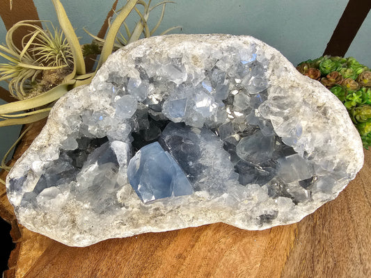 Blue Celestite Geode