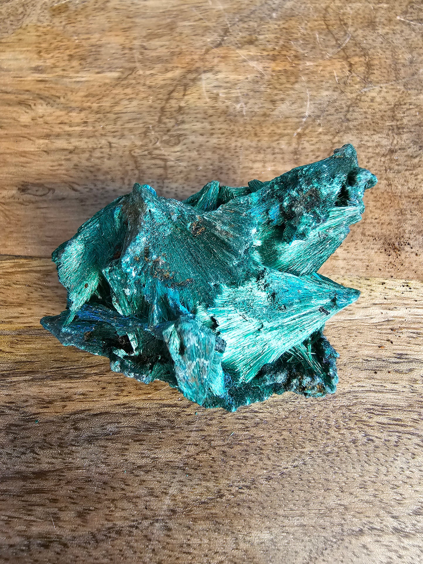 Velvet Malachite