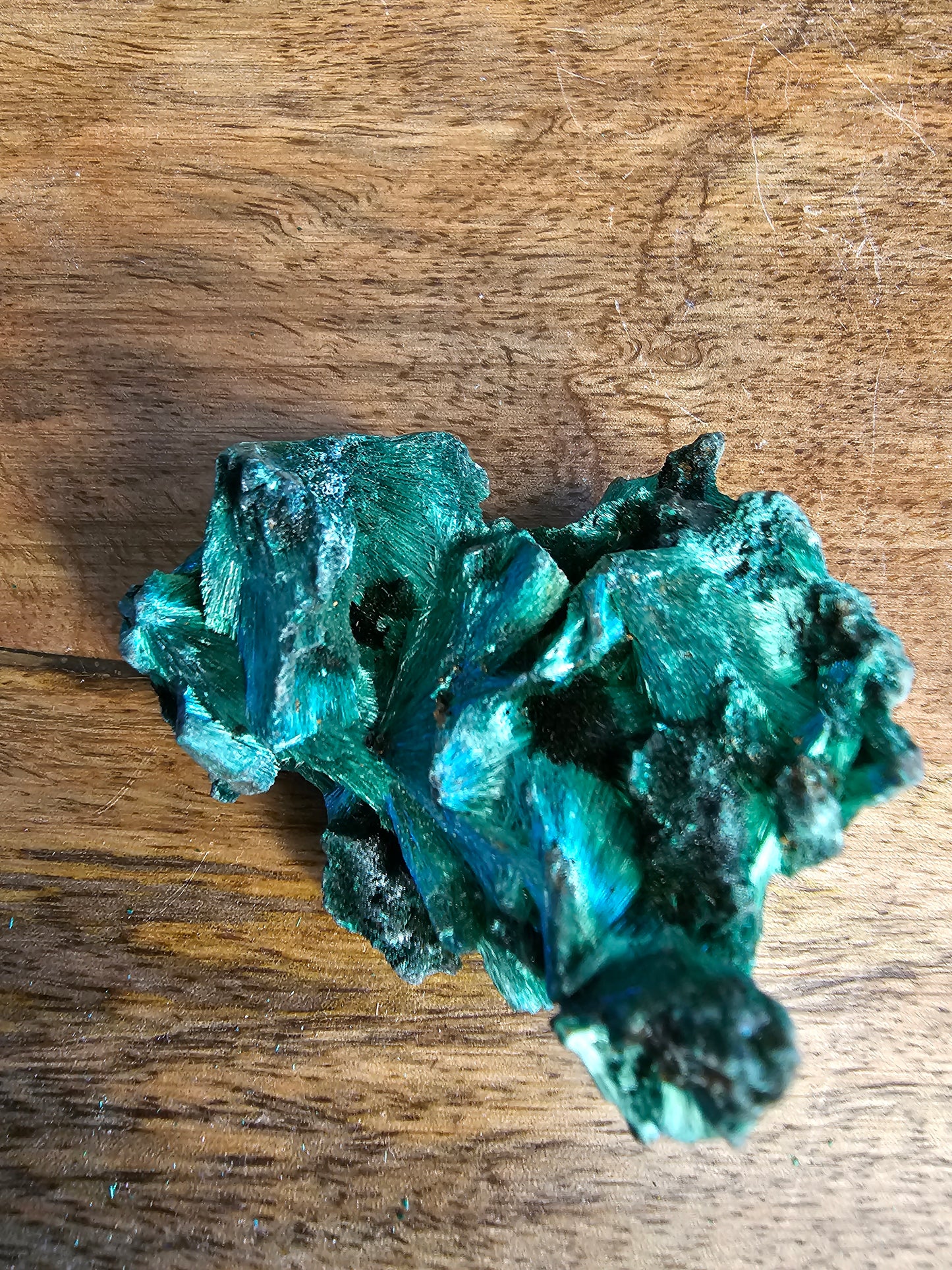 Velvet Malachite