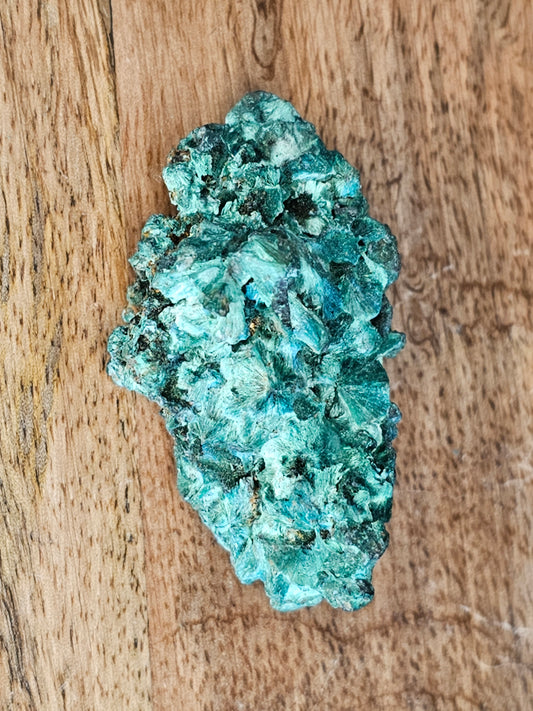 Velvet Malachite