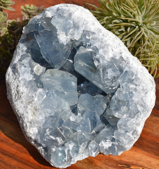 Blue Celestite Geode