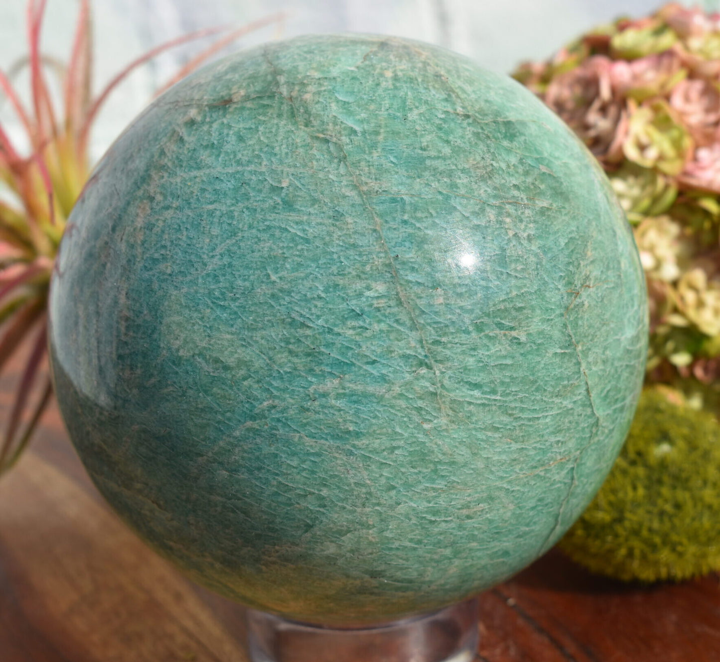 A sphere of medium green amazonite sits atop a wooden surface in the foreground. The background contains a succulent with long tendrils and a ball of green moss. 